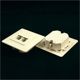 NetRackgniazdo kompletne podtynkowe 2xRJ45 8p8c STP Cat6 (106-34)