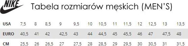 Nike Ανδρικές σαγιονάρες Sportswear Benassi μπλε μέγεθος 46 (343880 403)