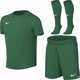 Nike Komplet sportowy dla dzieci Nike Dri-Fit Park VIII zielony HV8260 302 XL