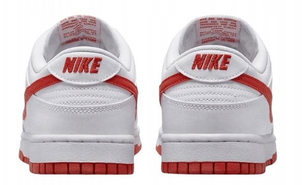 Nike Dunk Low Retro DV0831-103 Λευκά 42