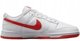 Nike Dunk Low Retro DV0831-103 leuko 43