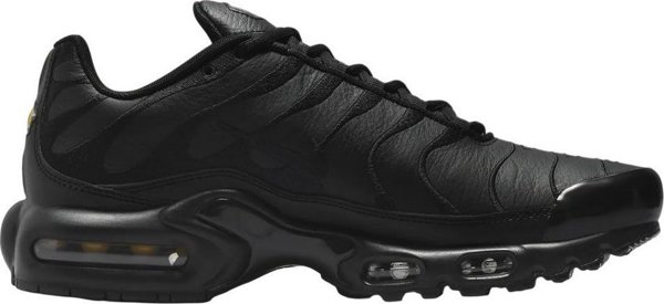 Nike Ανδρικά Παπούτσια NIKE AIR MAX PLUS (AJ2029 001) 40.5