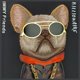 Θήκη Nimmy iPhone 15 Pro 6.1" Μαύρα Γυαλιά Cool Dog