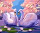 Norimpex Diamentowa Mozaika Labdede Sto Limni Me Liliies 30x40