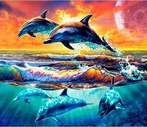 Norimpex Mozaika diamentowa 5D - Delfiny 40x30cm