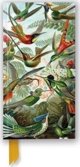 Σημειωματάριο γραμμής TW Κολίμπρι Ernst Haeckel