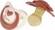 NUK NUK SMOCZEK USP 2EL 18-36 LAT NATU C10737877 1/6