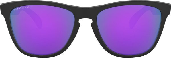 Γυαλιά ηλίου Oakley FROGSKINS Unisex