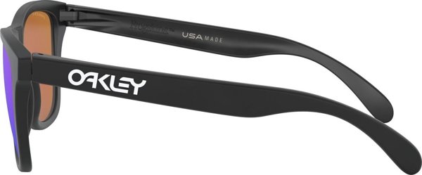 Γυαλιά ηλίου Oakley FROGSKINS Unisex