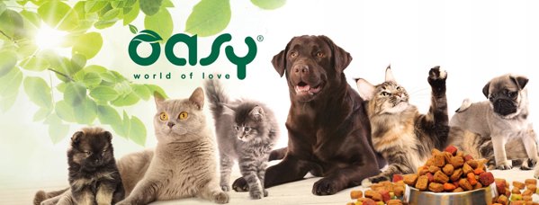 Oasy OASY KOT LIFESTAGE SENIOR LOSOS 85G SASZ.OKM-3822
