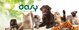 Oasy OASY KOT LIFESTAGE SENIOR LOSOS 85G SASZ.OKM-3822