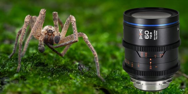 Obiektyw Laowa Sword 60 mm T2,9 2x Macro Cine do Arri PL