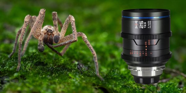 Obiektyw Laowa Sword 25 mm T2,9 1x Macro Cine do Arri PL