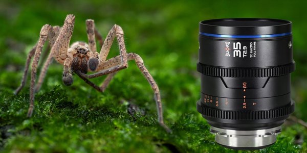 Obiektyw Laowa Sword 35 mm T2,9 1x Macro Cine do Arri PL
