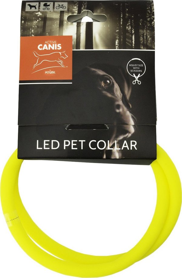 O’Canis Active Canis USB LED Pet Collar yellow