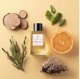Orange X Santal Eau de Parfum 100ml