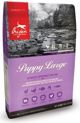 Orijen ORIJEN Puppy Large 6kg
