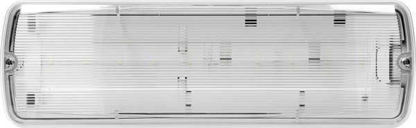 Φωτιστικό Ασφαλείας Orno METU LED 2,7W 3H IP65 6000K Έκτακτης Ανάγκης