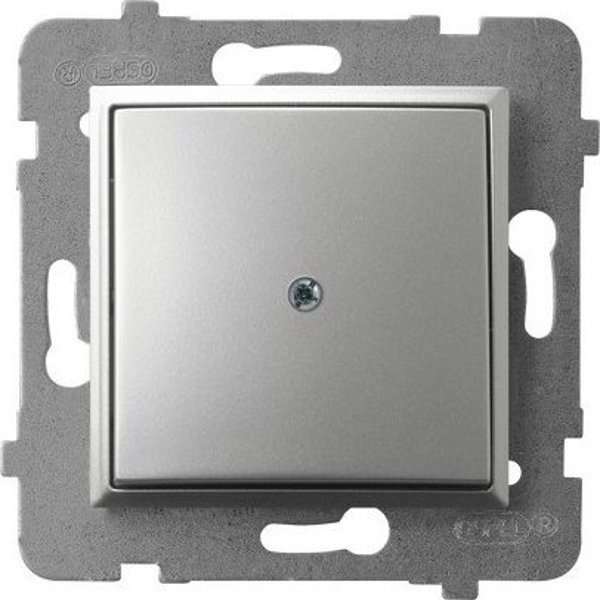 Ospel Aria Z-1U/M/18 Κάλυμμα Πλαισίου, Ασημί