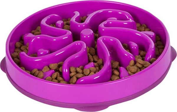 Outward Hound Slo Bowl Ιώδες Μπολ Σκύλου