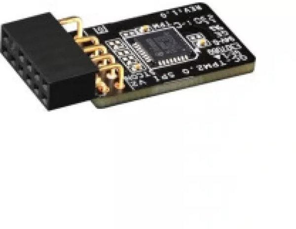 Pagrindinė plokštė Dell TPM 2.0 security module for PowerEdge servers