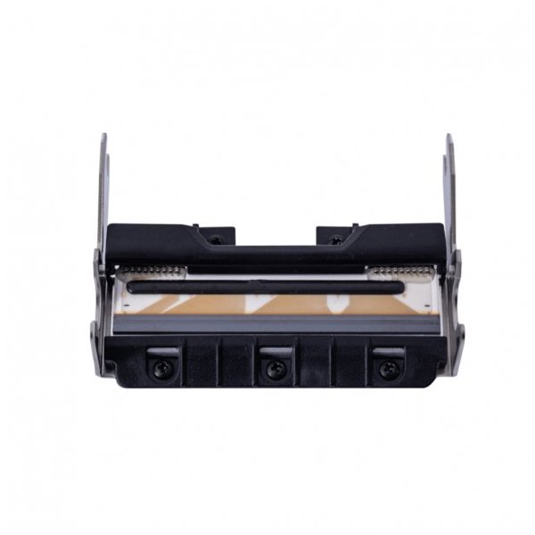 Pa-Hu2-002 Print Head