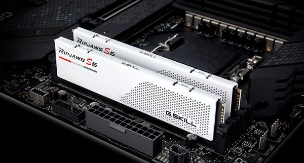 G.Skill Ripjaws S5 Μνήμη RAM DDR5 64GB (2x32GB) 5600MHz CL36 - Λευκό (F5-5600J3636D32GX2-RS5W)