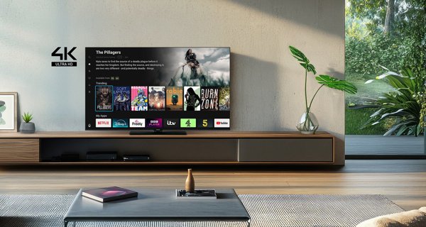 Panasonic TB-65W61AEZ schwarz