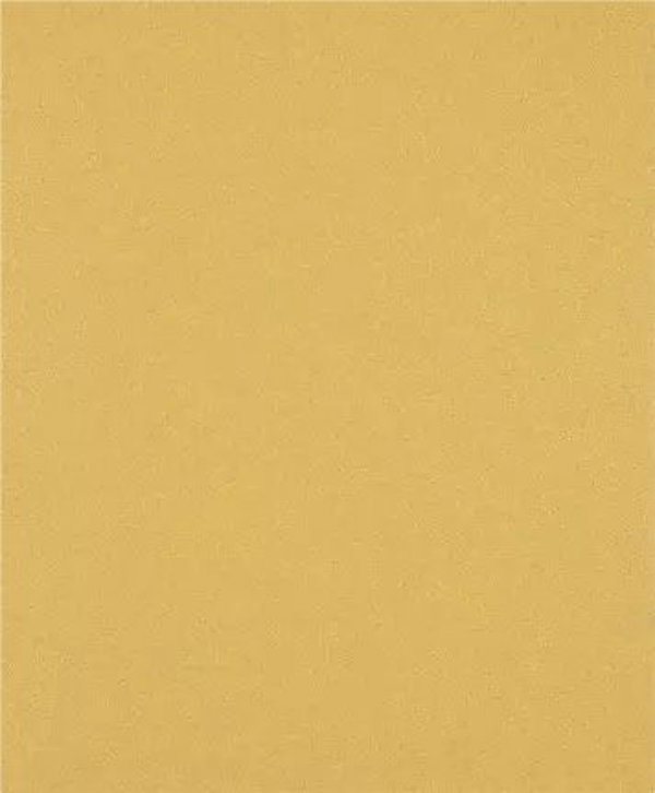PAPIER EXPERT EXC470,G80,230X280, 50X