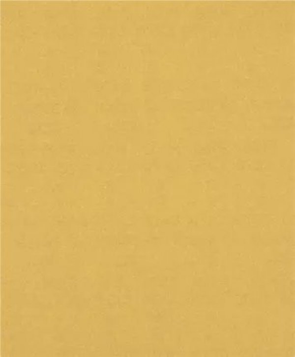 PAPIER EXPERT EXC470,150,230X280, 50X