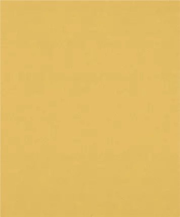 PAPIER EXPERT EXC470,120,230X280, 50X