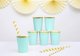 PartyDeco Kubeczki mint, 220ml one size