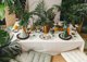 Party Deco Talerzyki Dinozaury 18x18cm mix A6 25677