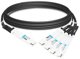 Passive copper split cable IB twin port