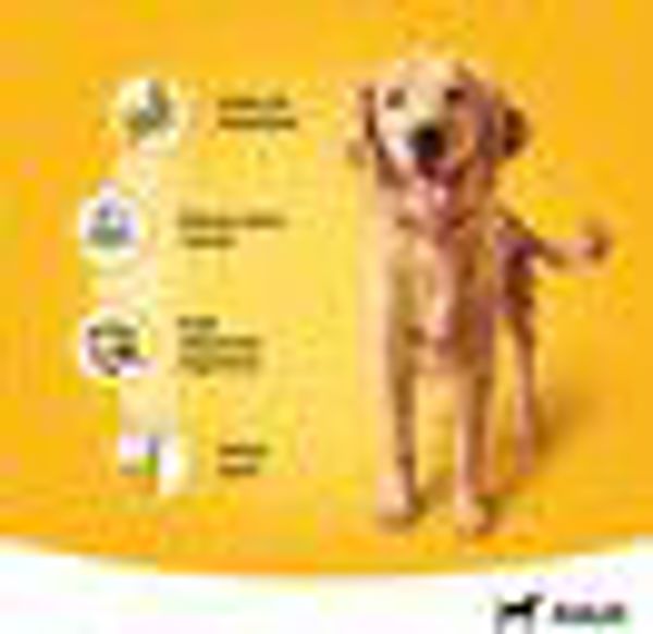 Pedigree με κοτόπουλο και καρότο σε ζελέ 400g