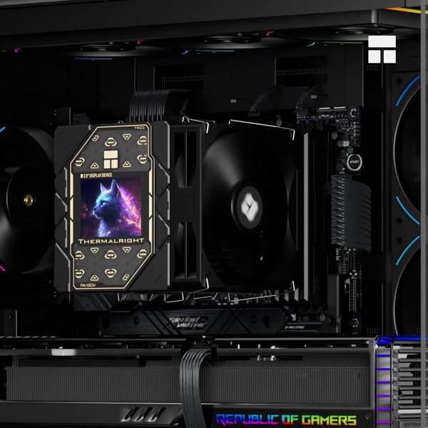 Peerless Assassin 120 Vision Black