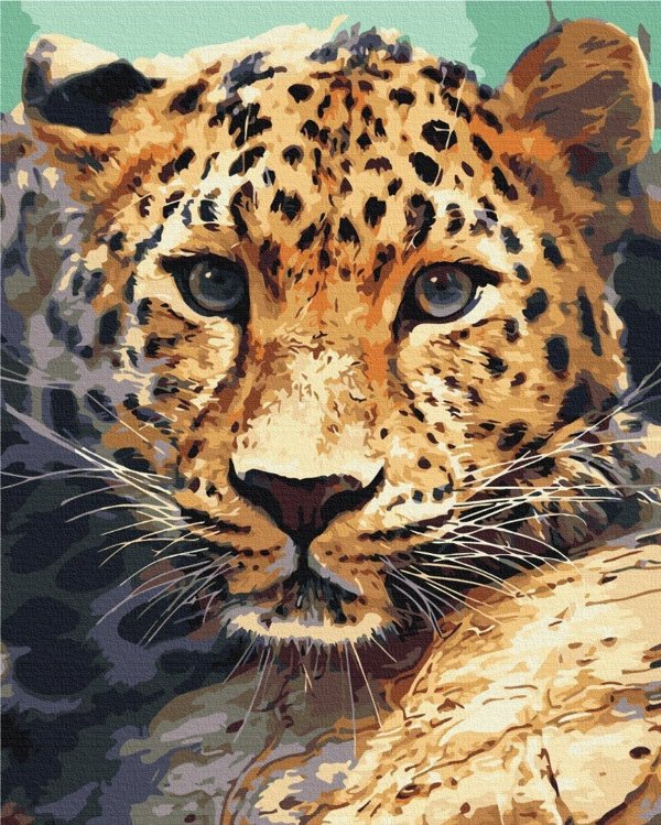 Ζωγράφισέ το! BS51736 Gepard από την Pegasus Elliot Mackenzie Publishers