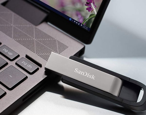 SanDisk Extreme Go USB Flash Drive 256GB, Ταχύτητα USB 3.2, Μαύρο (SDCZ810-256G-G46)