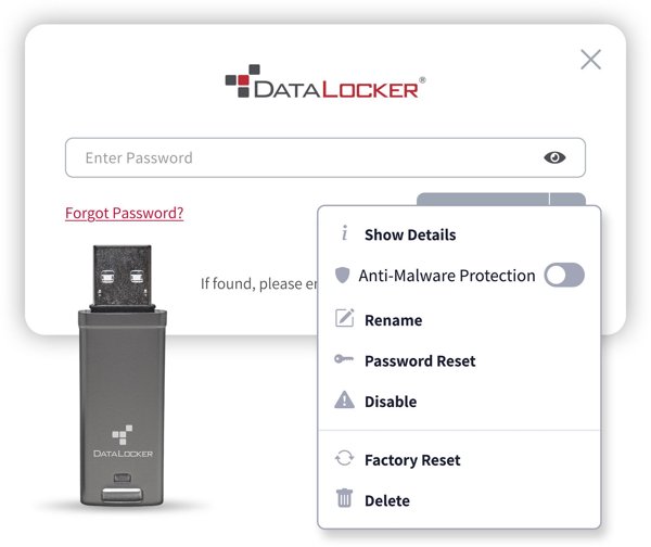 Pendrive ORIGIN STORAGE DATALOCKER DL GO 256BIT 4GB (DLGO-004)
