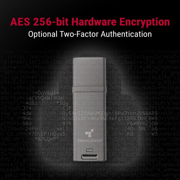 Pendrive ORIGIN STORAGE DATALOCKER DL GO 256BIT 4GB (DLGO-004)