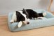 Petkit PETKIT Deep Sleep All Season Pet Bed M Green
