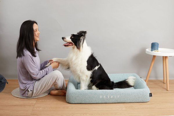 Petkit PETKIT Deep Sleep All Season Pet Bed M Green