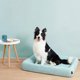 PETKIT All Season Sleep (B5-S) Pet Bed, Size S | P7110 S | Green