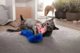 Pet Supplies Παιχνίδι Γάτας Jumping Boa 14223272