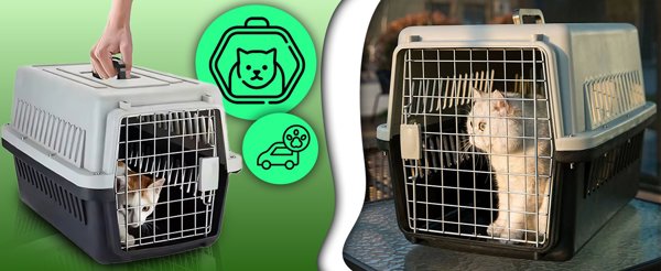 Pets Collection Μεταφορέας για γάτα/σκύλο, κλουβί 48x31x30 cm + ποτίστρα + στρώμα sr274