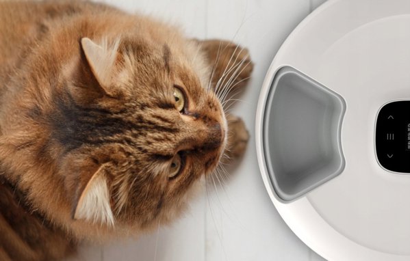 Petoneer Inteligentny dozownik karmy Petoneer Nutrispin