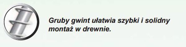 PGB Wkret do drewna twardego 4x40mm T15 - PWHTGG40040 C2