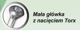 PGB Wkret do drewna twardego 4x45mm T15 (PWHTGG40045 C2)