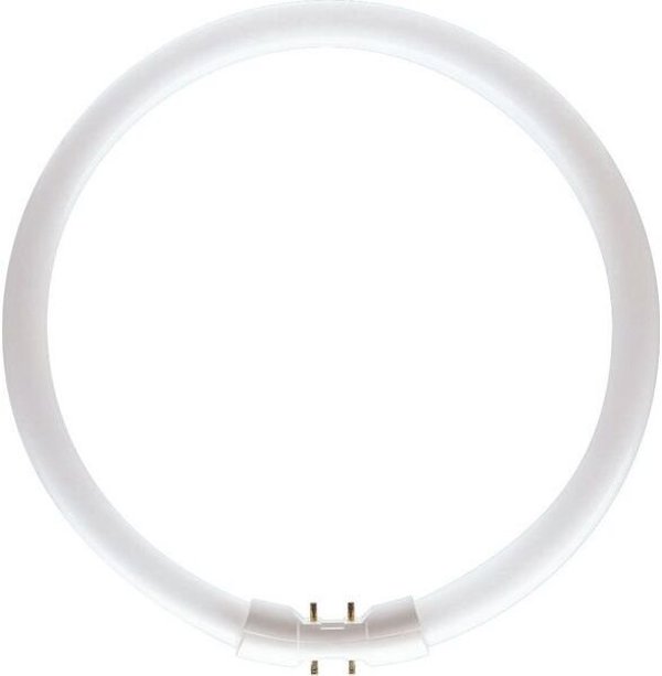 Philips Circular fluorescent bulb 55 W 2GX13 Warm white