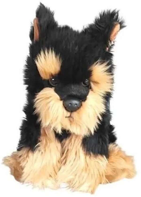 Pies morkie 30cm 34038